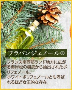 【要確認】クマイリーのアレに関する口コミと評判って悪くない?