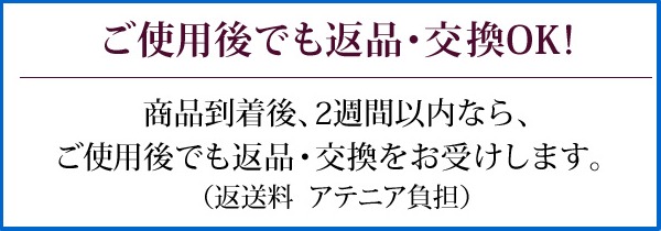 ラスターフィニッシュ送料無料のキャンペーン