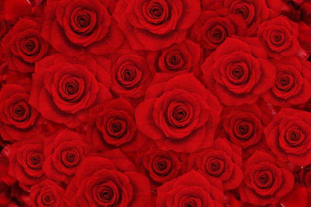 405クレコンの香り