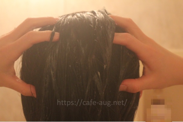 わたりのきまり